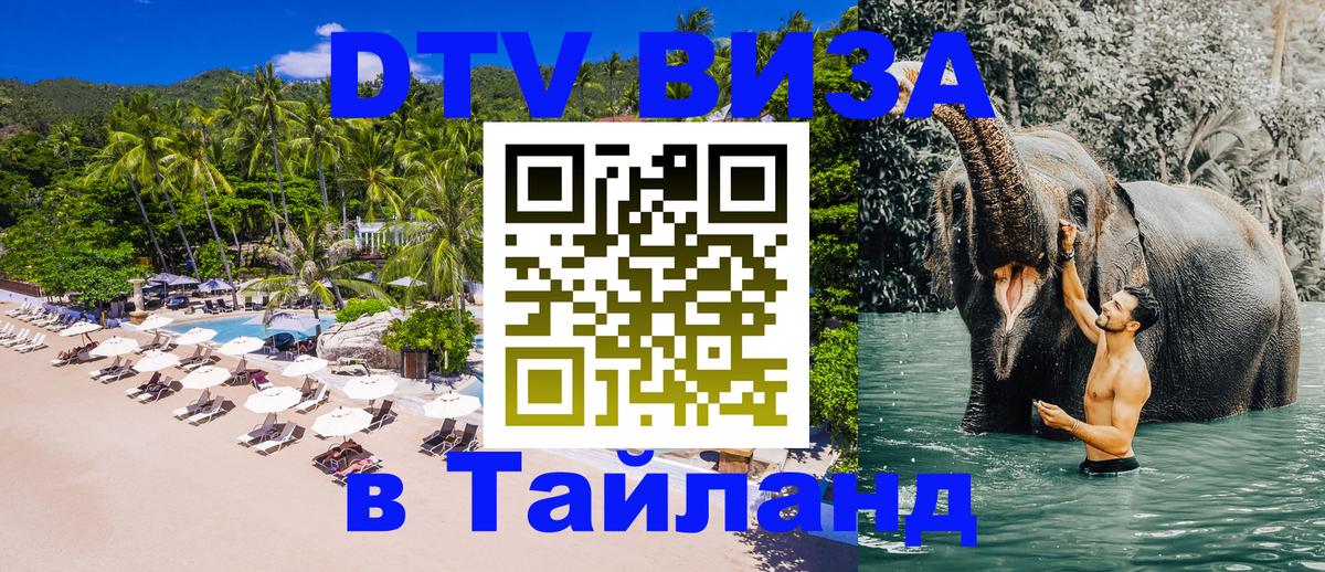 Оформление DTV визы под ключ: стоимость и тарифы, только загранпаспорт - Ноябрьск  20.11.2025 